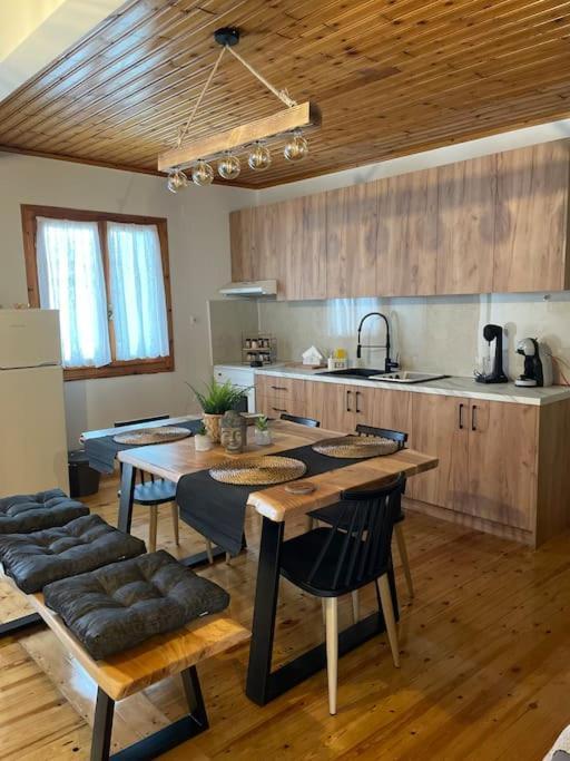شقة Politis' Wooden House فاسيليكي المظهر الخارجي الصورة